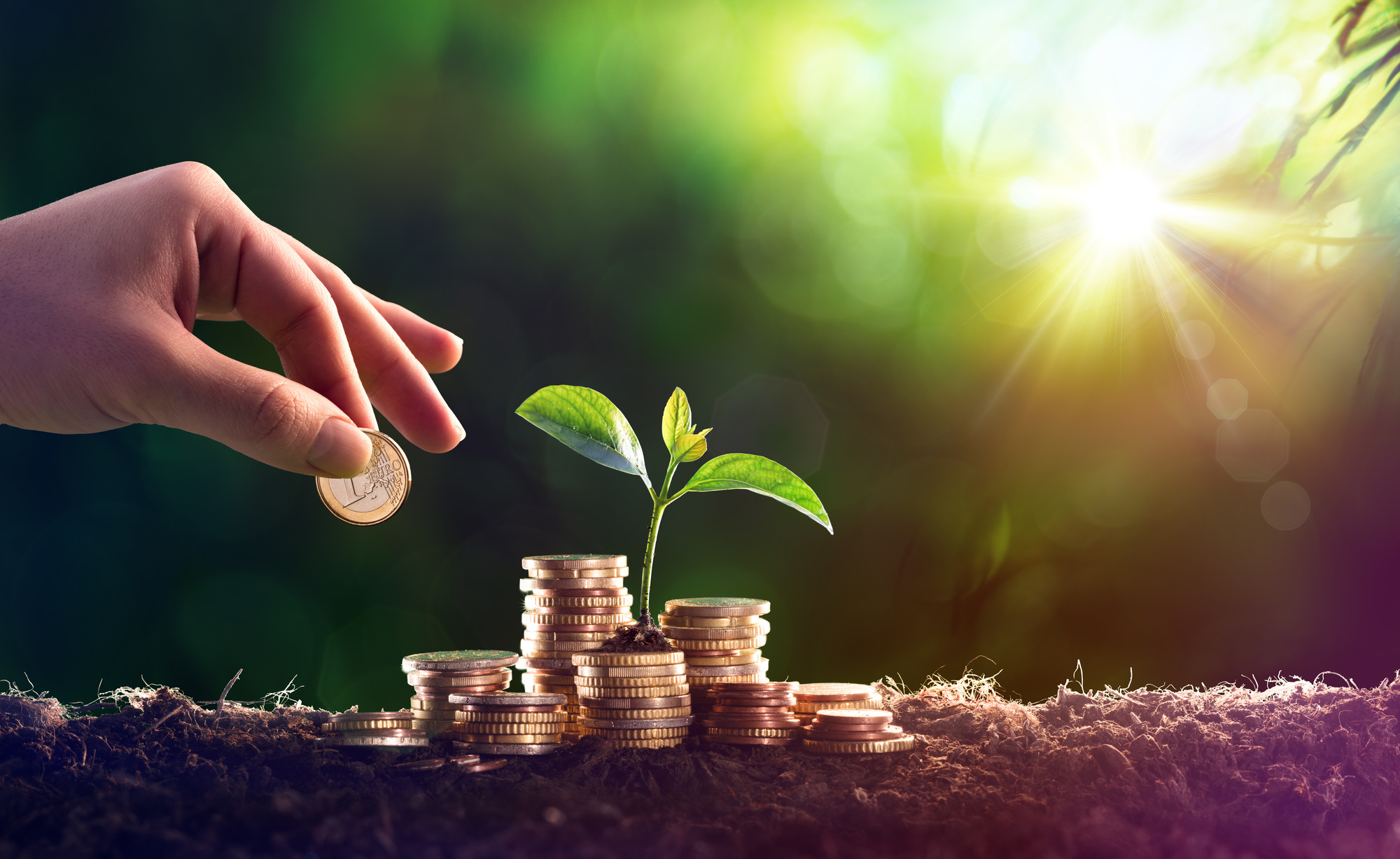Property Management Blog